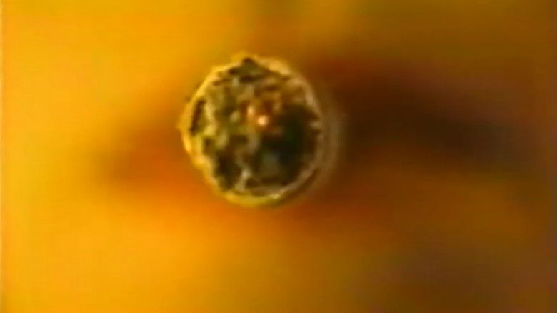 кадр из фильма White Trash At Heart