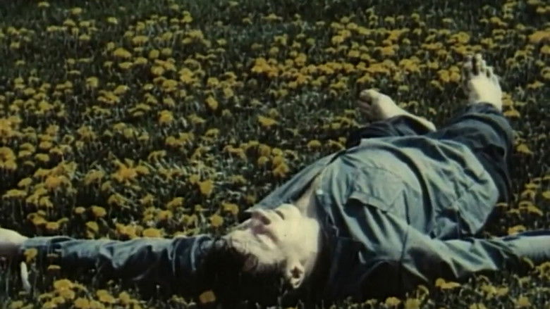 кадр из фильма Цветение одуванчика