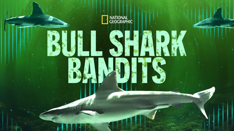 кадр из фильма Bull Shark Bandits
