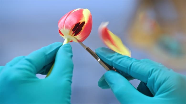 кадр из фильма Угощение