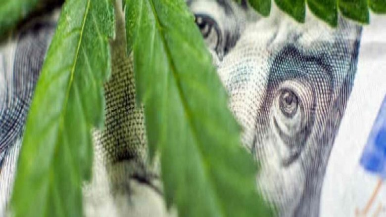 кадр из фильма Cannabis : quand le deal est légal