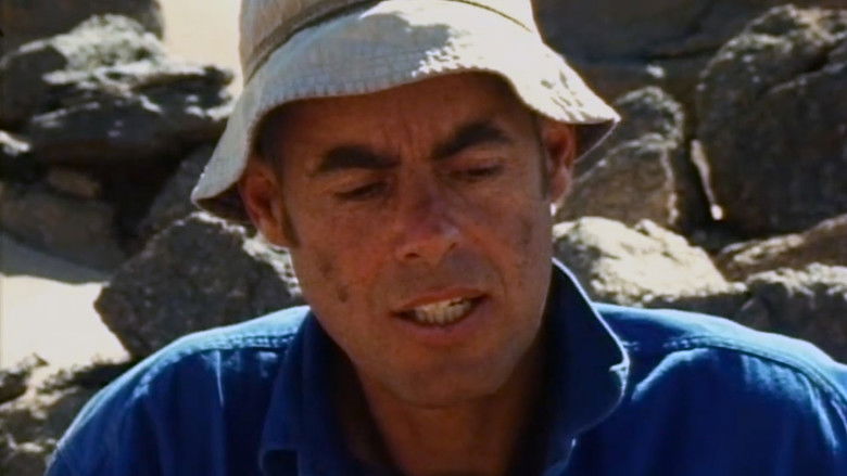 кадр из фильма Stones and Flies: Richard Long in the Sahara