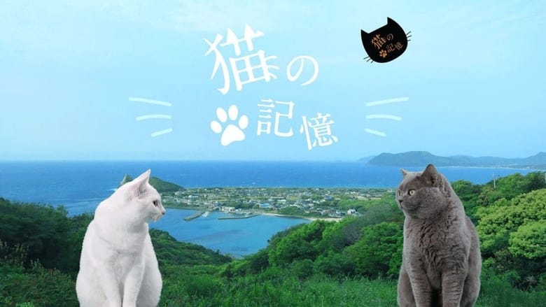 кадр из фильма 糸島映画 猫の記憶