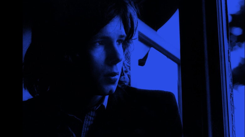 кадр из фильма The Songs of Nick Drake: Way to Blue