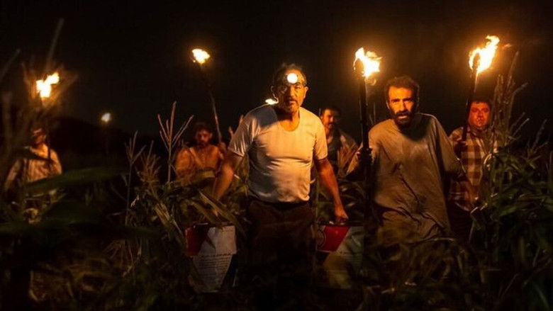 кадр из фильма بی سر و صدا