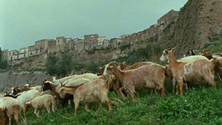 кадр из фильма Il dono