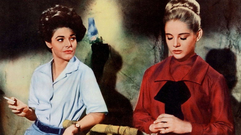 кадр из фильма 7 женщин