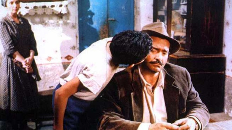 кадр из фильма Мальчик из Калабрии