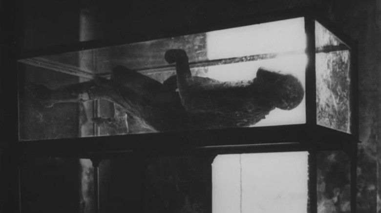 кадр из фильма Si j'avais quatre dromadaires