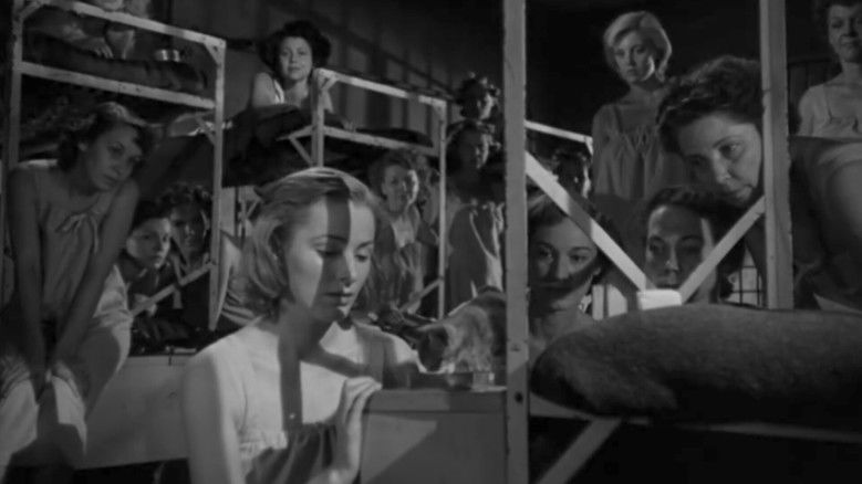 кадр из фильма В клетке