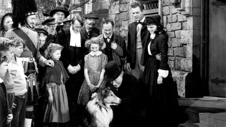 кадр из фильма Challenge to Lassie