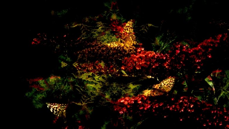 кадр из фильма Sfarfallii liberali 360°