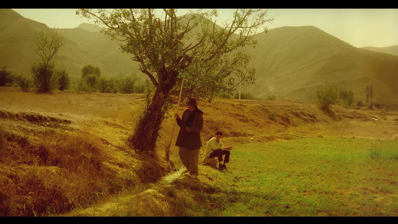 кадр из фильма درخت گلابی