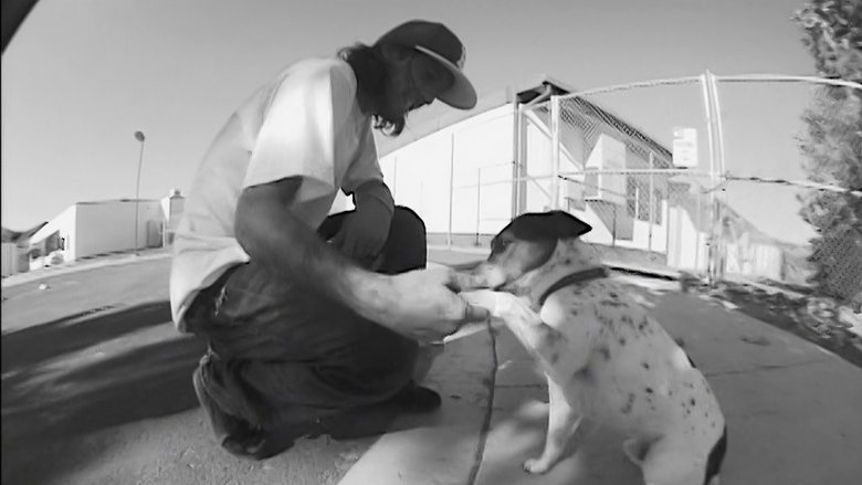 кадр из фильма Mystery - Black & White