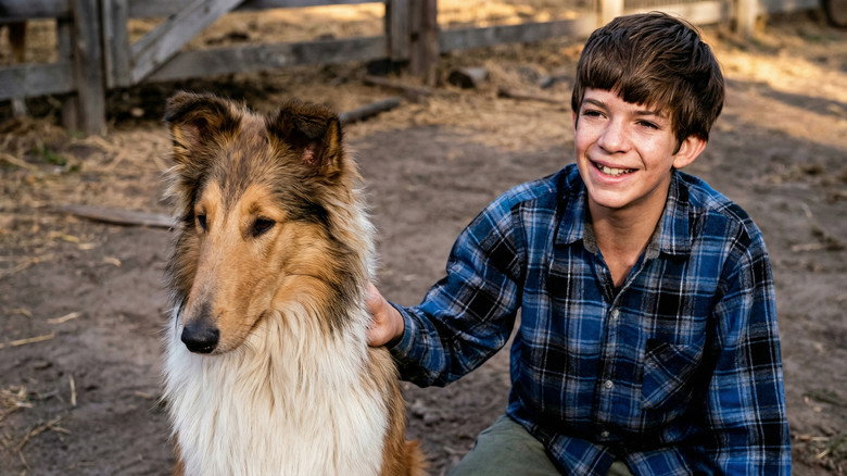 кадр из фильма Lassie: Well of Love