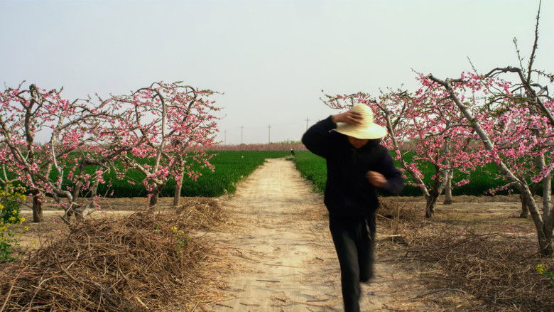 歌声缘何慢半拍