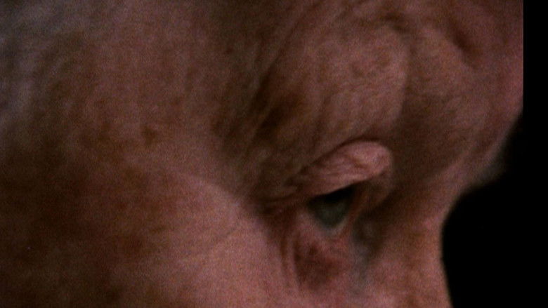 кадр из фильма Amindas verden