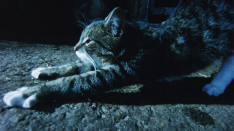 кадр из фильма Kata