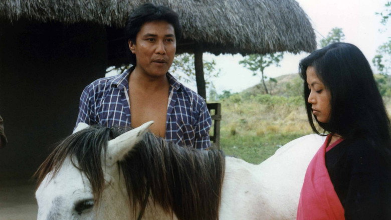 кадр из фильма Sanabi