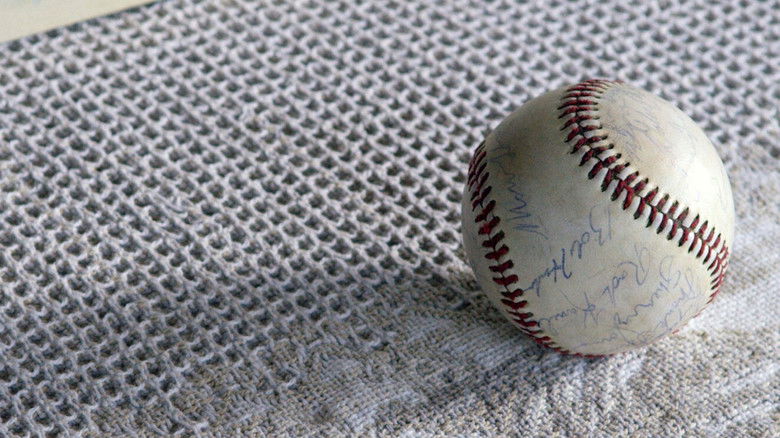 кадр из фильма Still Happy