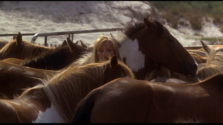 кадр из фильма Фиалки синие