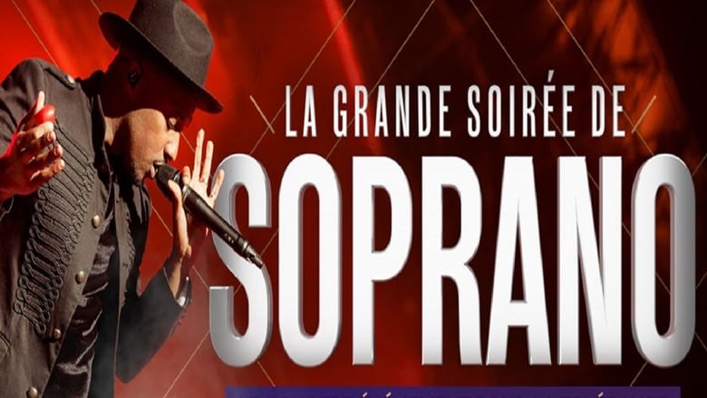 La grande soirée de Soprano, Le concert pour la tolérance