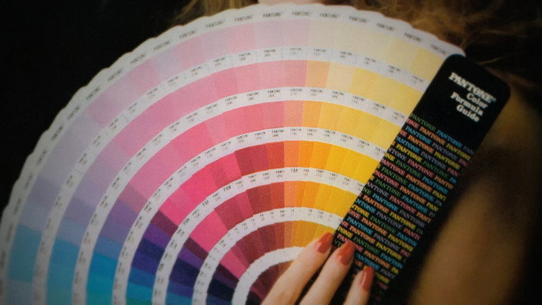 кадр из фильма The King of Color