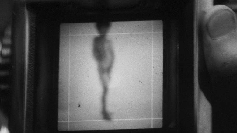 кадр из фильма 性家族