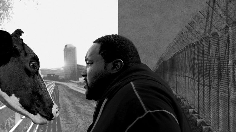 кадр из фильма На полпути