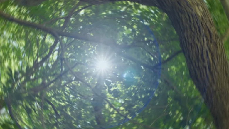 кадр из фильма Avenoir