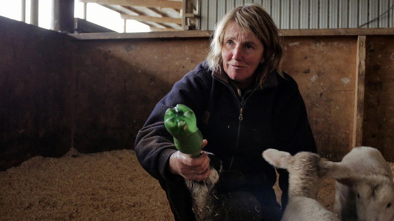 кадр из фильма Meat