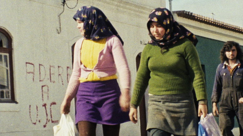 кадр из фильма Sempre