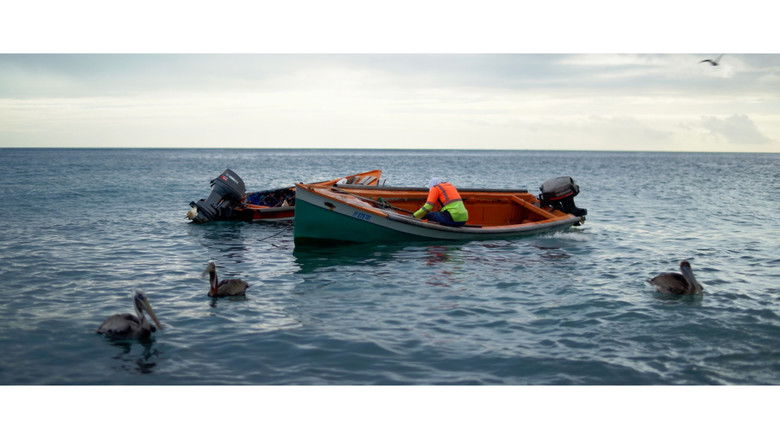 кадр из фильма DOUBOUT OUBIEN MÔ