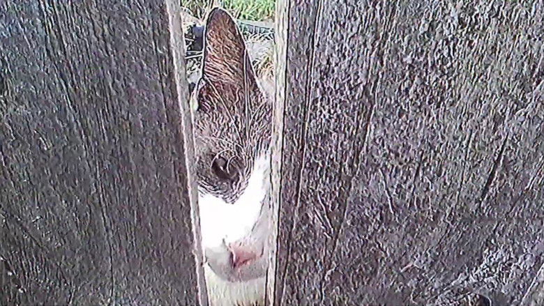 кадр из фильма Vague Void