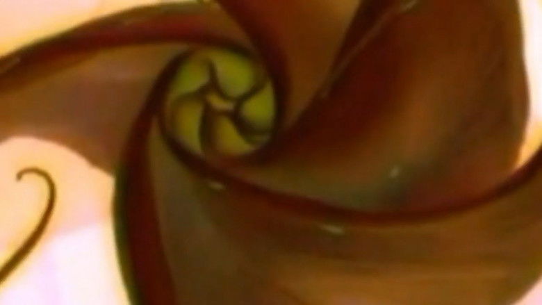 кадр из фильма -PursuitManiflusso.: Quadro del Vero (Terrore)