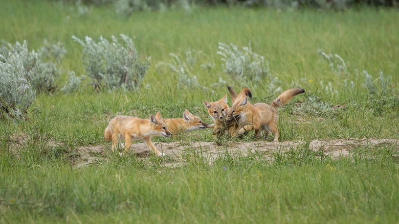 кадр из фильма The Return of Nóouhàh-Toka’na