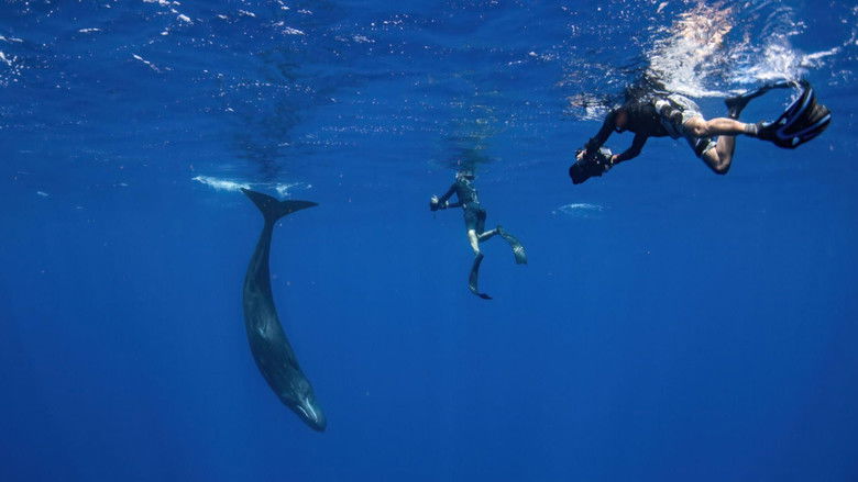 кадр из фильма Patrick and the Whale