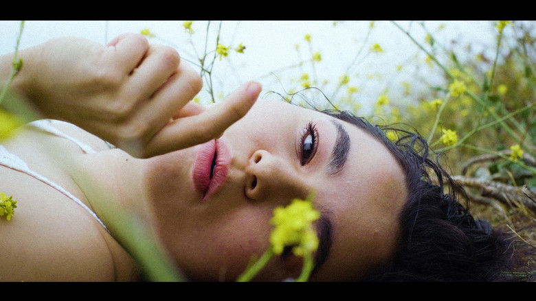 кадр из фильма Petals