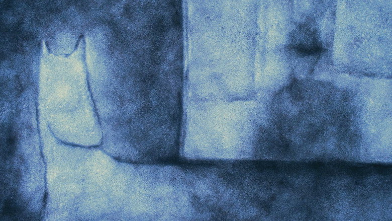 кадр из фильма White Horse