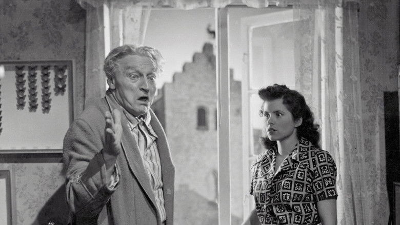 кадр из фильма Vejrhanen