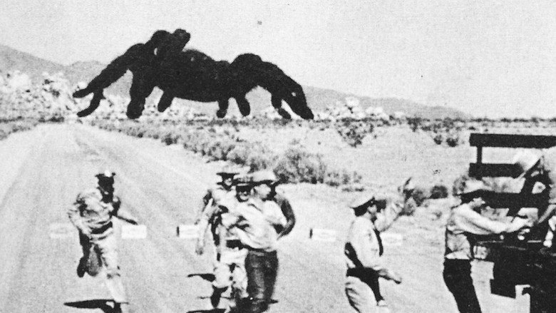 кадр из фильма Тарантул