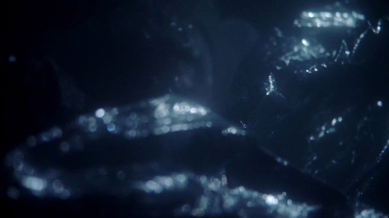 кадр из фильма Humboldt