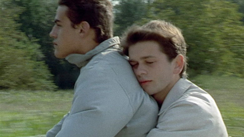 кадр из фильма Дикий тростник