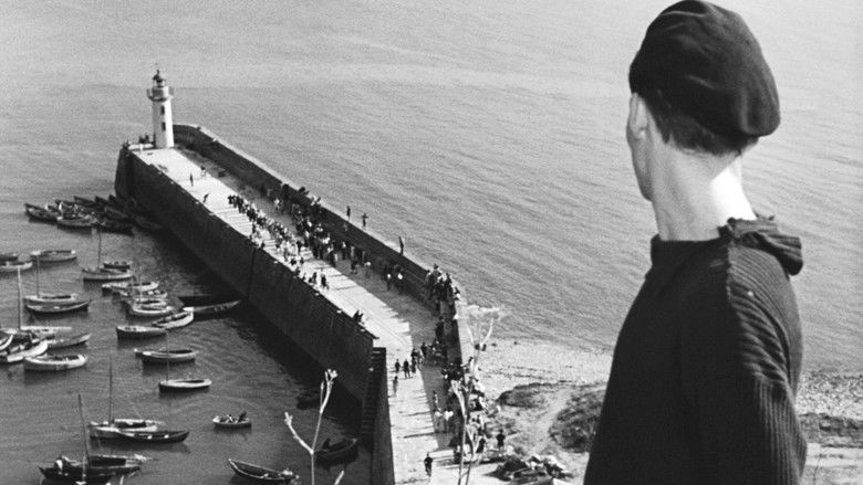 кадр из фильма Pattes blanches