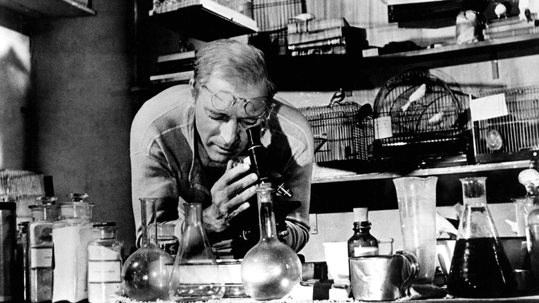 кадр из фильма Любитель птиц из Алькатраса