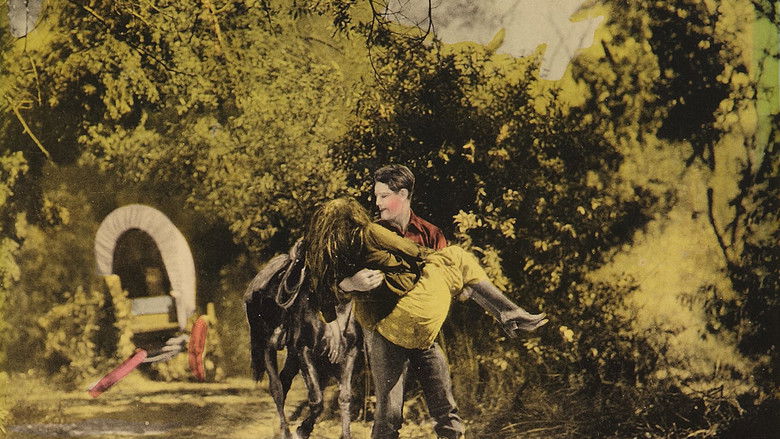 кадр из фильма The Scrappin' Kid