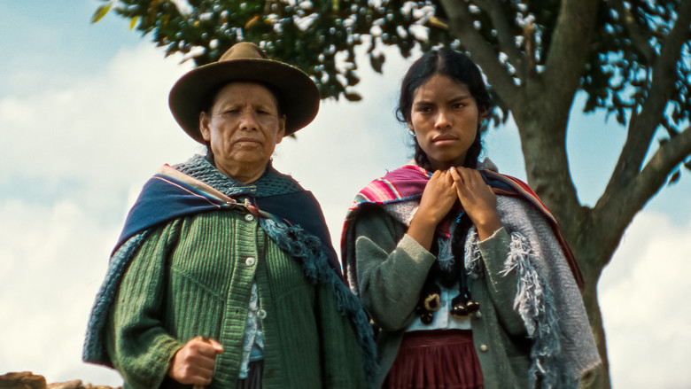 кадр из фильма La hija cóndor