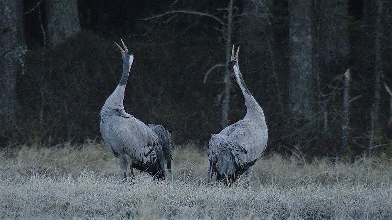 кадр из фильма Tuulte tahutud maa