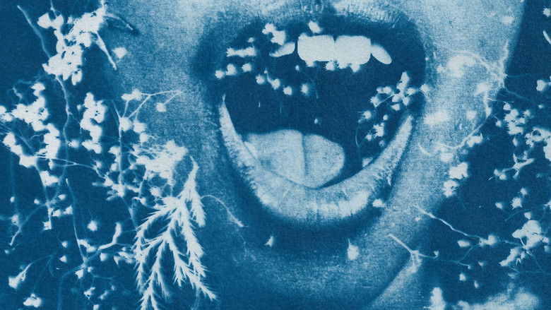 кадр из фильма Olivia y las nubes