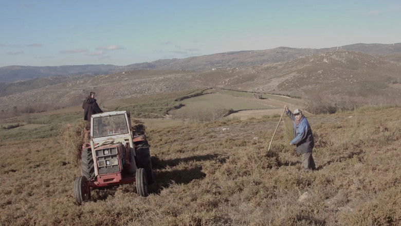 кадр из фильма Bostofrio, où le ciel rejoint la terre